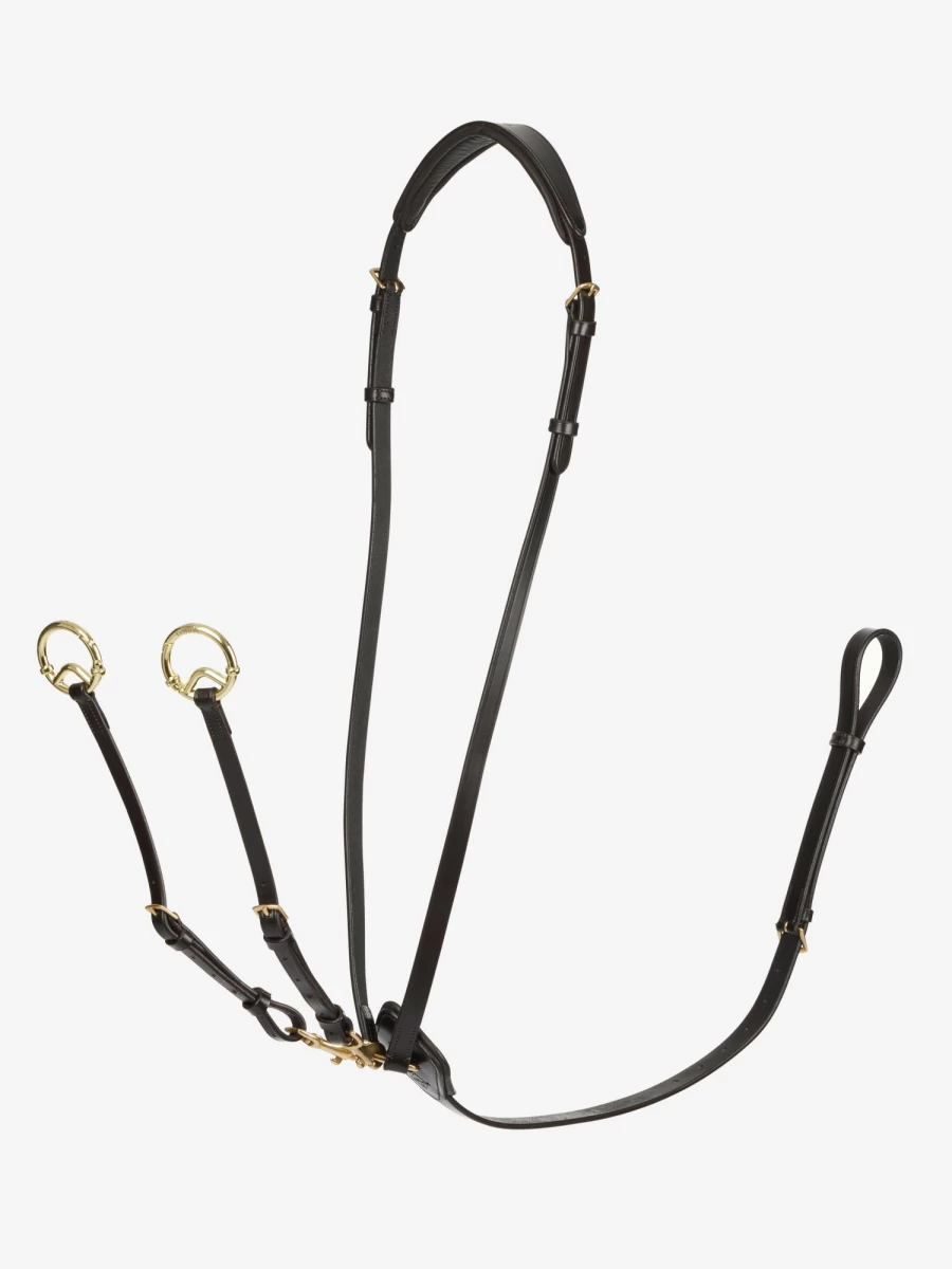LeMieux Kudos Running Martingale Horse Training Aid in Brown/Brass for Enhanced Control