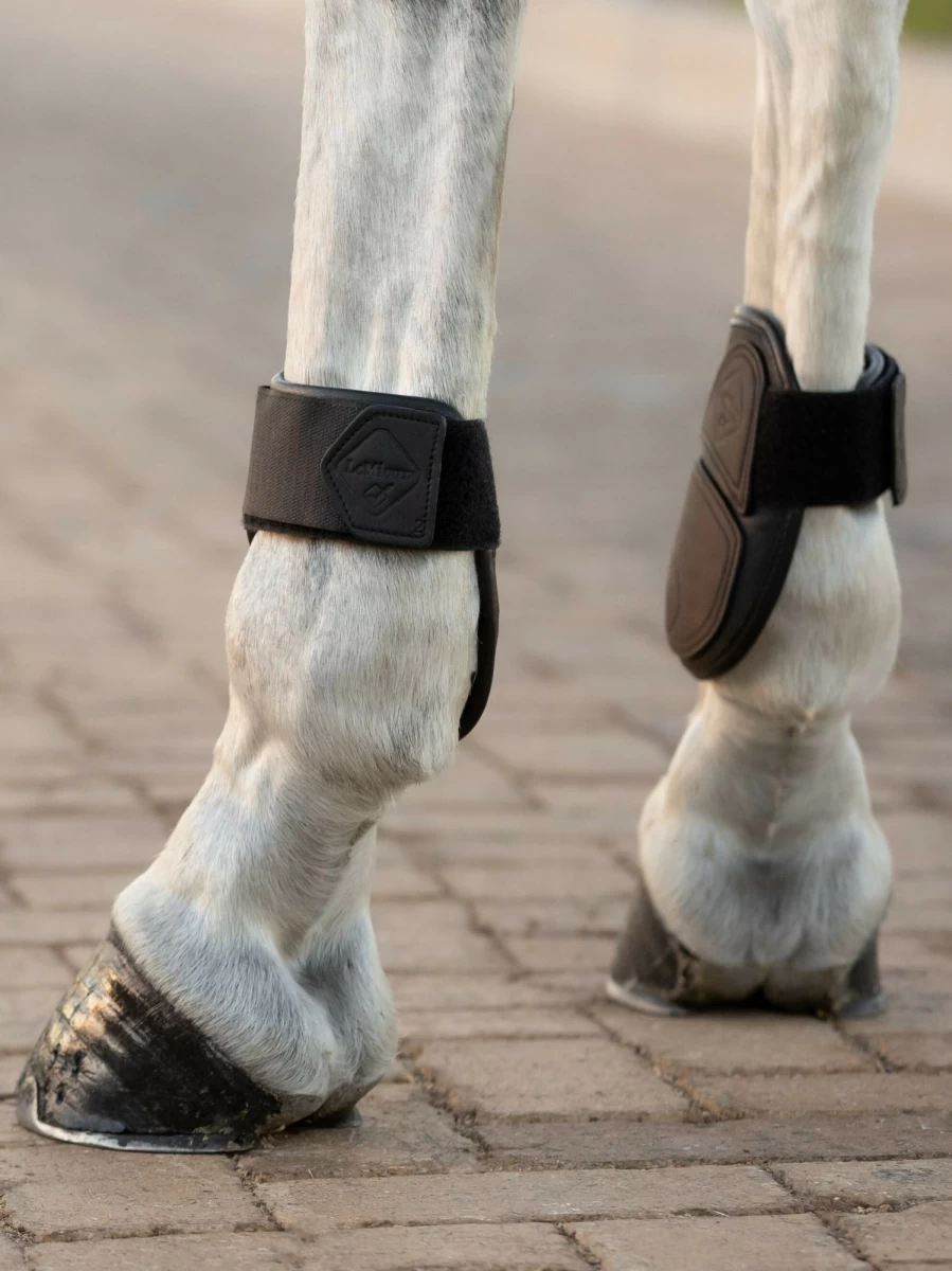 LeMieux Capella Fetlock Boots for Horses - Black Protective Horse Boots
