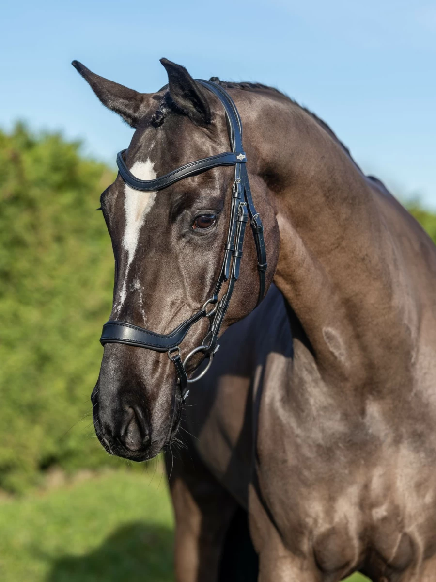 LeMieux Arika Drop Bridle in Black/Silver for Elegant Equestrian Performance