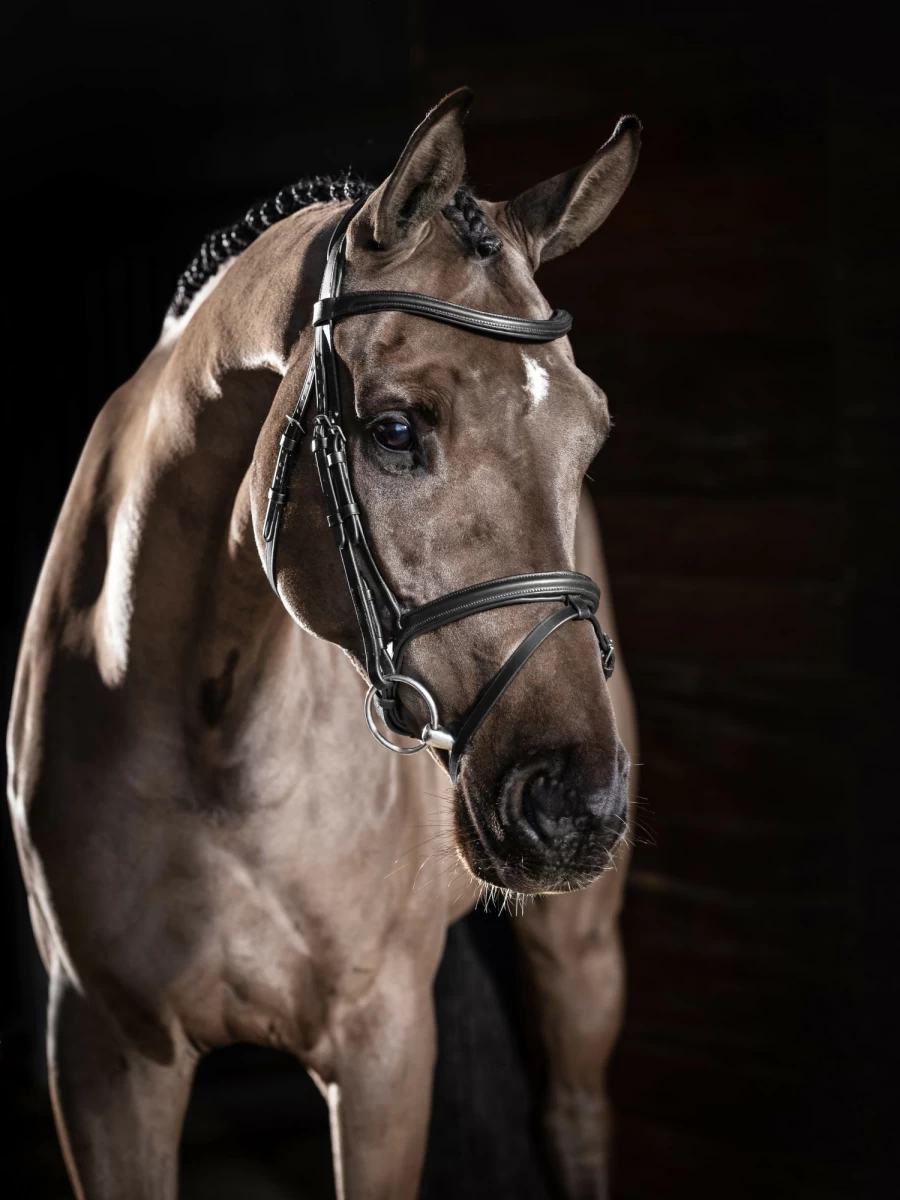 LeMieux Arika Running Martingale - Adjustable Black & Silver Horse Training Aid