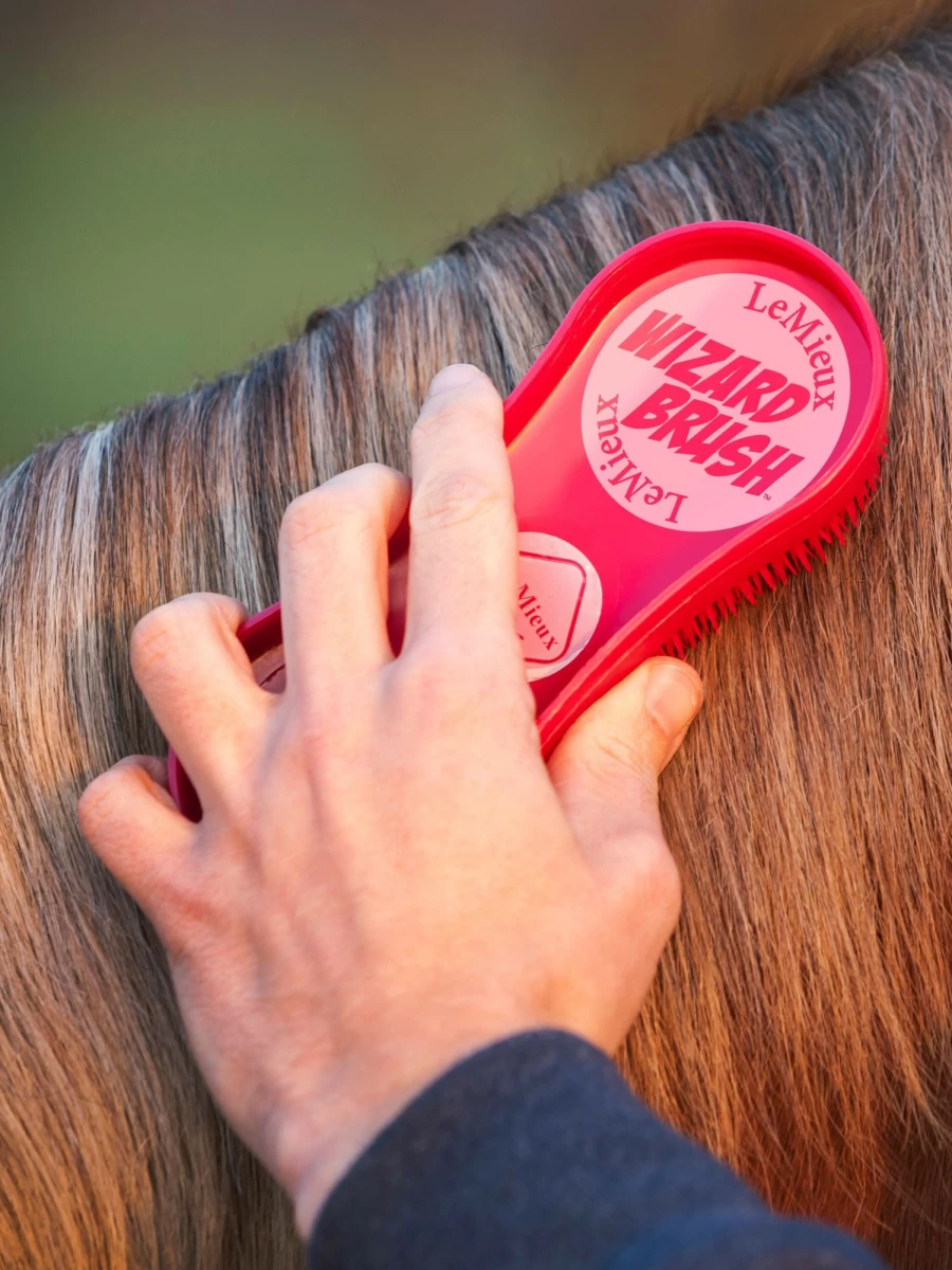 LeMieux Wizard Brush Trio - Burgundy, Grey & Purple Horse Grooming Brushes for All Coat Types