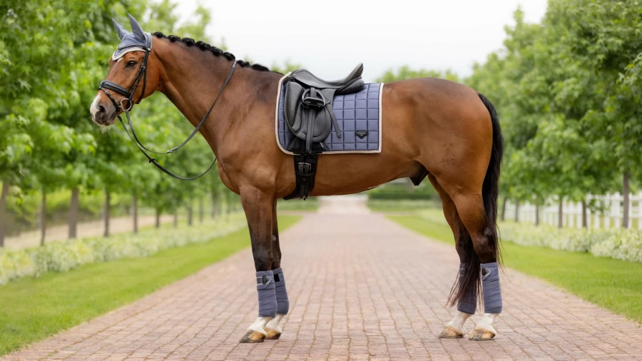 LeMieux Loire Classic Dressage Square in Jay Blue - Equestrian Riding Apparel