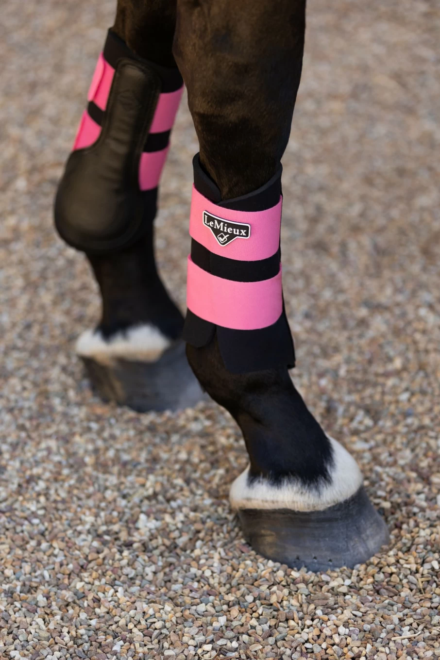 LeMieux Grafter Brushing Boot - Durable Horse Boots for Protection & Comfort