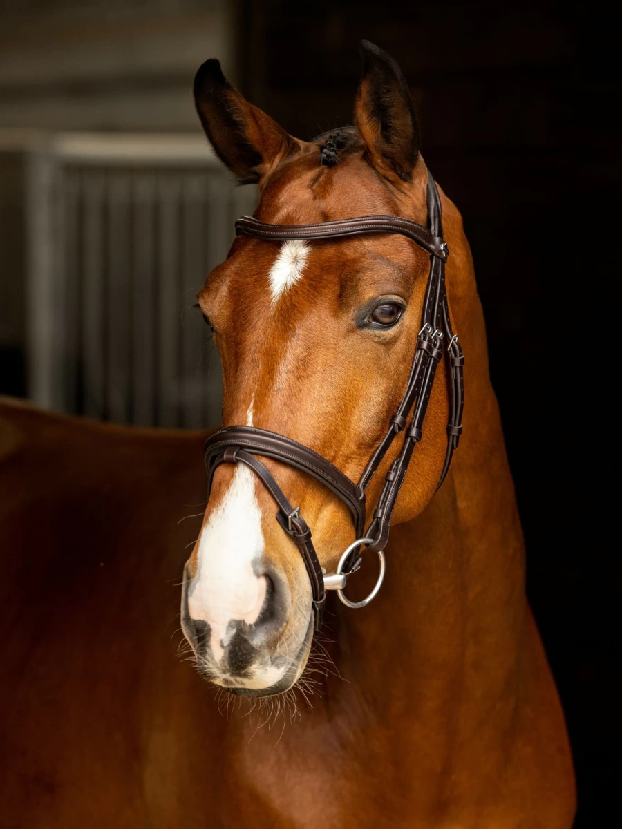 LeMieux Arika Flash Bridle in Brown and Silver for Equestrian Riding