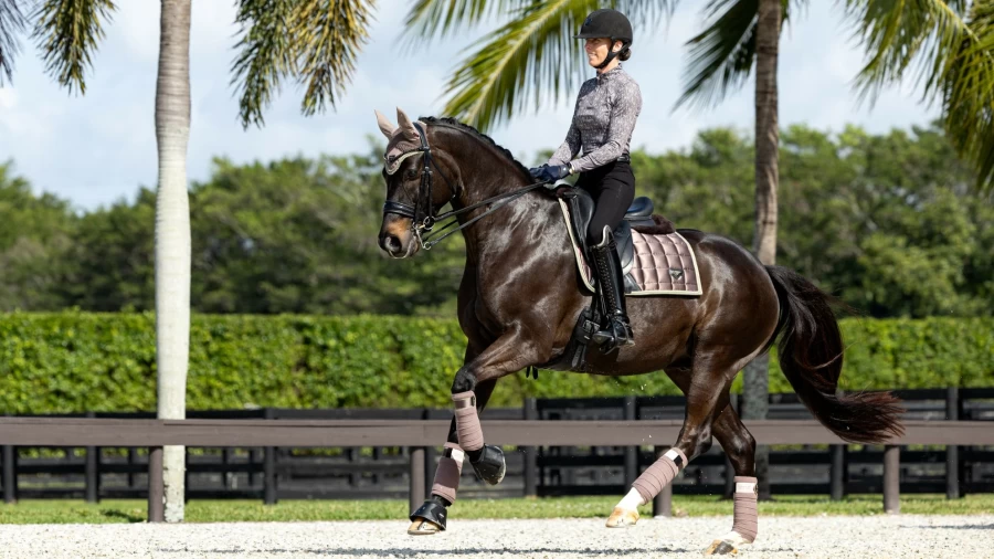LeMieux Merino Wool Loire Classic Dressage Square in Walnut Brown