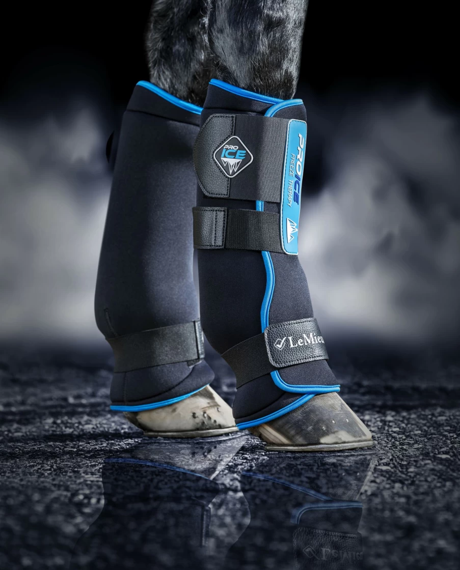 LeMieux Price Freeze Winter Boots for Men & Women - Insulated Waterproof Snow Boots