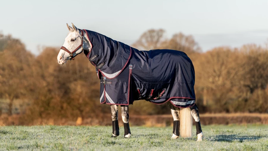 LeMieux Kudos 100G Turnout Rug - Navy Blue Horse Stable Blanket