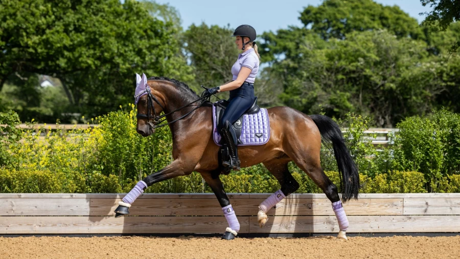 LeMieux Loire Polo Bandages - Premium Equestrian Wisteria Purple Horse Wraps