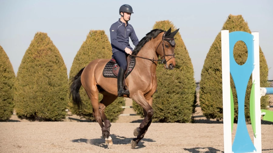 LeMieux Loire Memory Close Contact Square Black Riding Breeches