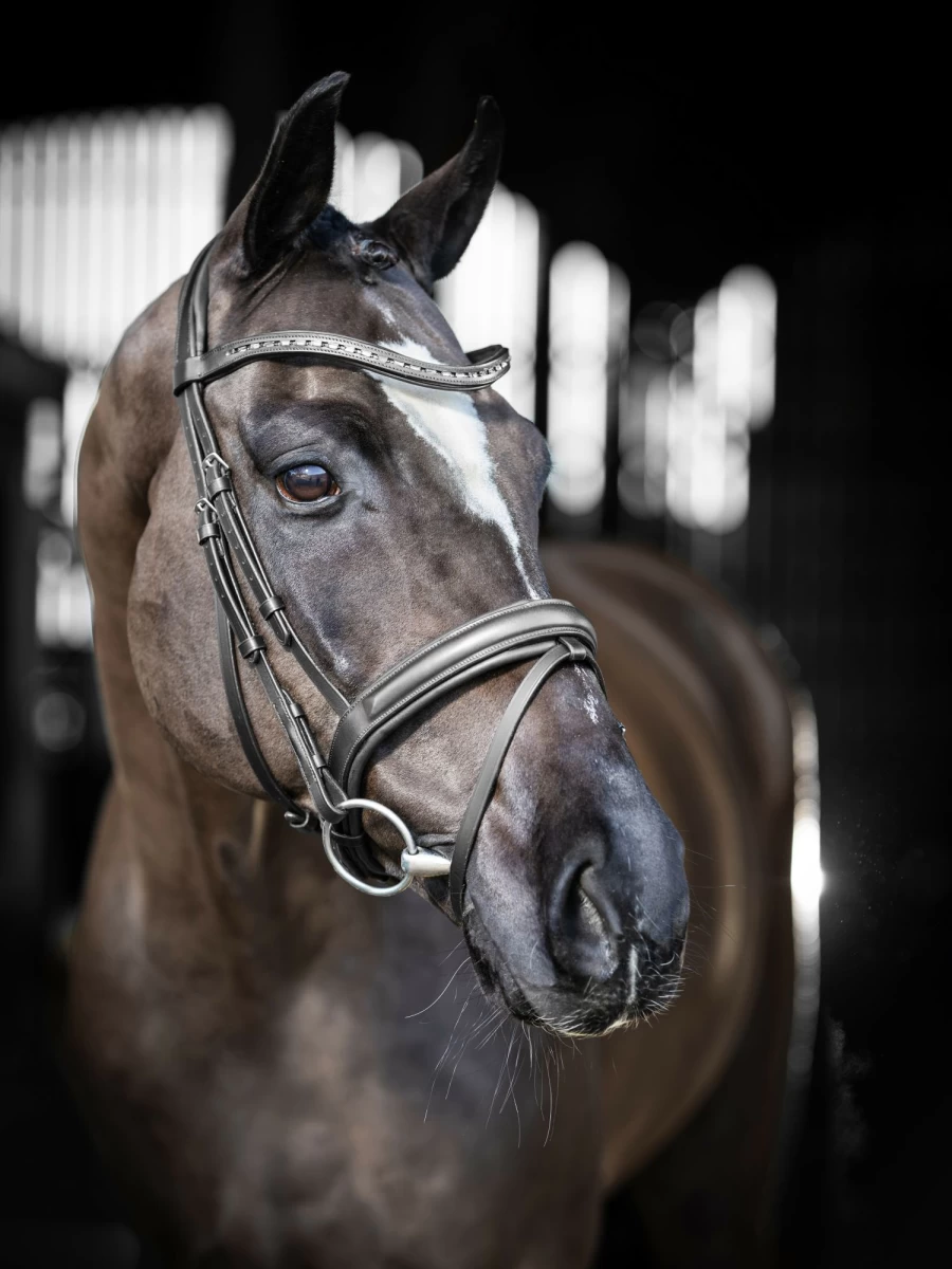 LeMieux Arika Dressage Bridle in Black with Silver Accents for Equestrian Riding