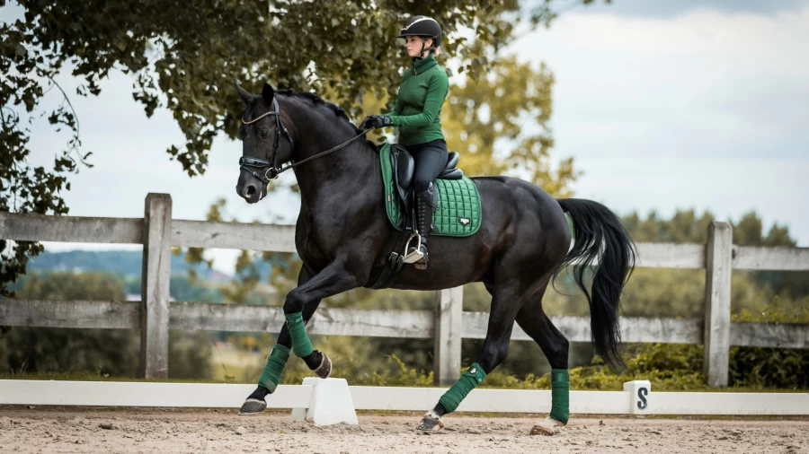 LeMieux Loire Memory Dressage Square Equestrian Hunter Green Riding Jacket