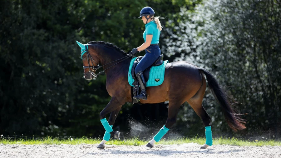 LeMieux Loire Memory Dressage Square Azure Horse Riding Blanket