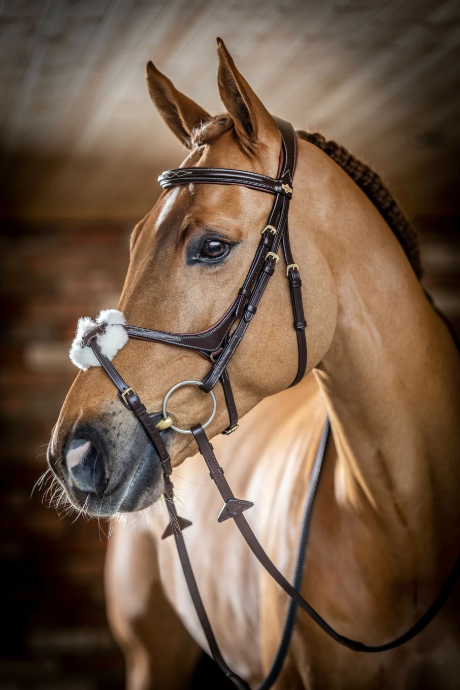 LeMieux Kudos Grackle Bridle in Havana Brown – Premium Equestrian Bridle for Dressage & Show Jumping