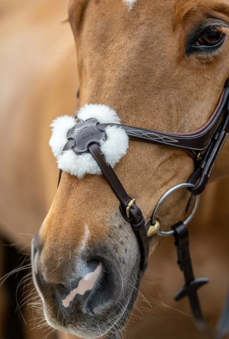 LeMieux Kudos Grackle Bridle in Havana Brown – Premium Equestrian Bridle for Dressage & Show Jumping