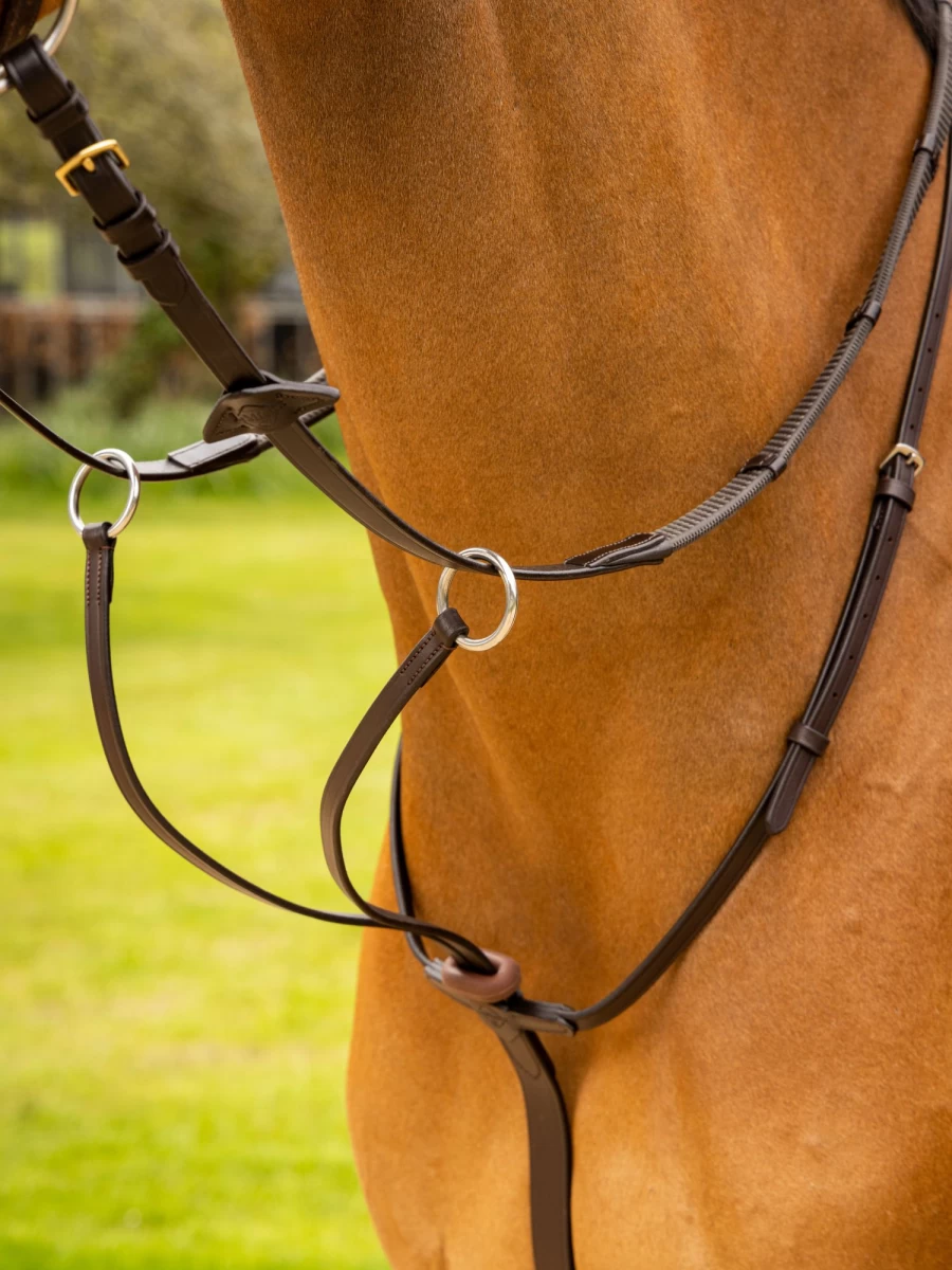 LeMieux Arika Running Martingale Horse Training Aid in Brown/Silver for Enhanced Control