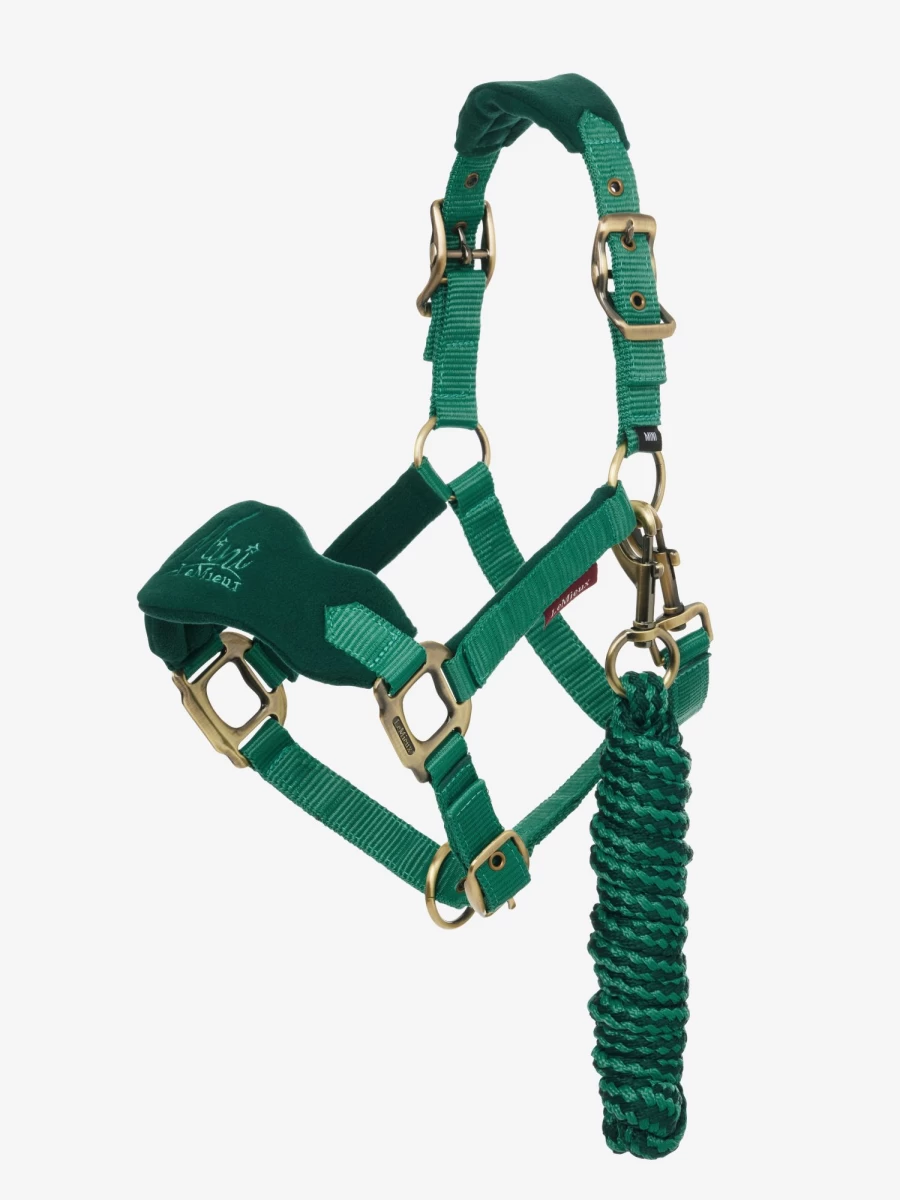 LeMieux Mini Vogue Headcollar & Lead Rope in Evergreen – Premium Horse Training Gear