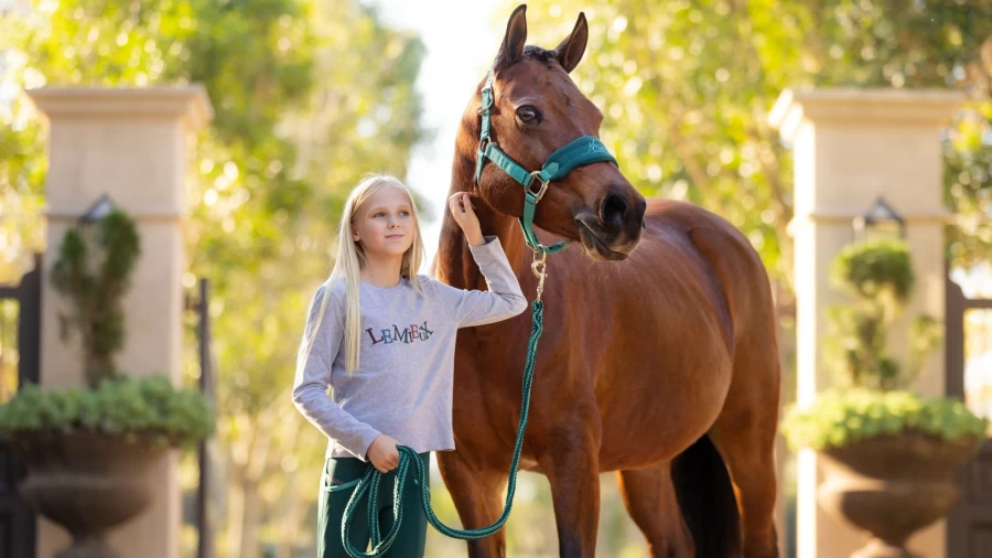 LeMieux Mini Vogue Headcollar & Lead Rope in Evergreen – Premium Horse Training Gear