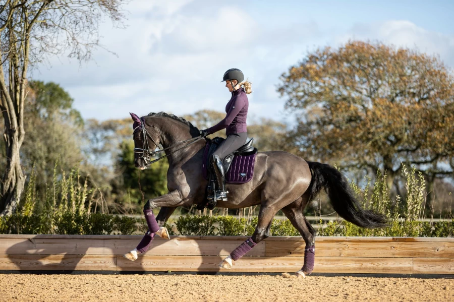 LeMieux Loire Classic Dressage Square Marine Equestrian Riding Wear for Horse Riders