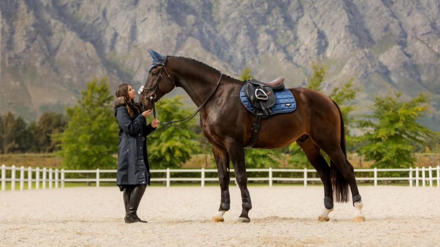 LeMieux Loire Classic Close Contact Square Atlantic Equestrian Saddle