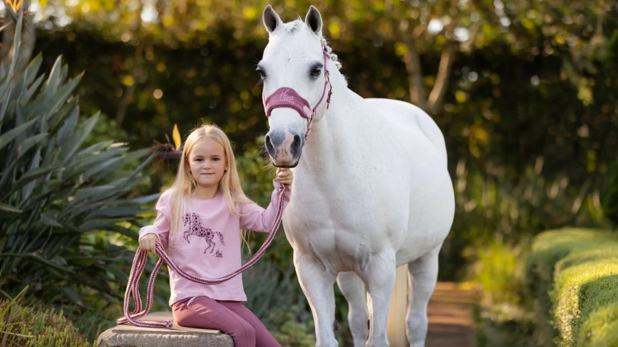 LeMieux Mini Vogue Headcollar & Lead Rope in Pink Quartz – Equestrian Horse Training Accessories