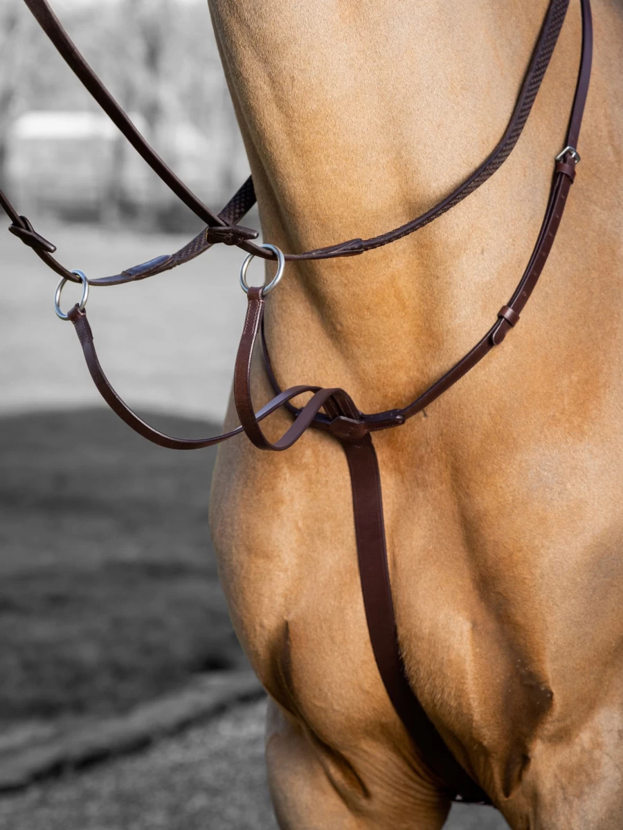LeMieux Arika Running Martingale Horse Training Equipment - Havana & Silver Color Options