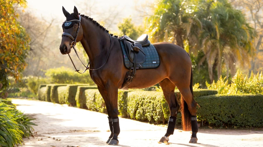 LeMieux Rhone Polo Bandages - Petrol Blue Equine Leg Wraps for Horse Support