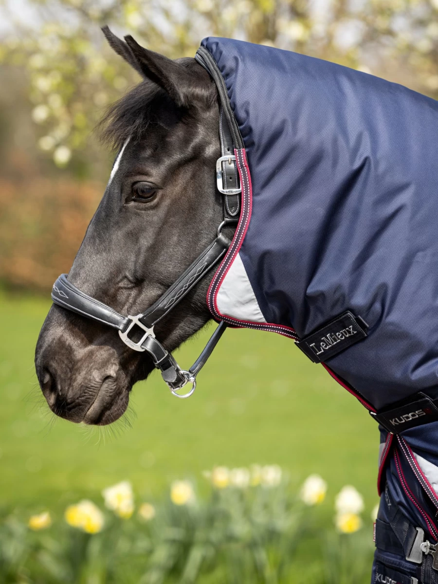 LeMieux Kudos Thermo Layer 100g Turnout Rug for Horses - Navy Blue Winter Horse Blanket