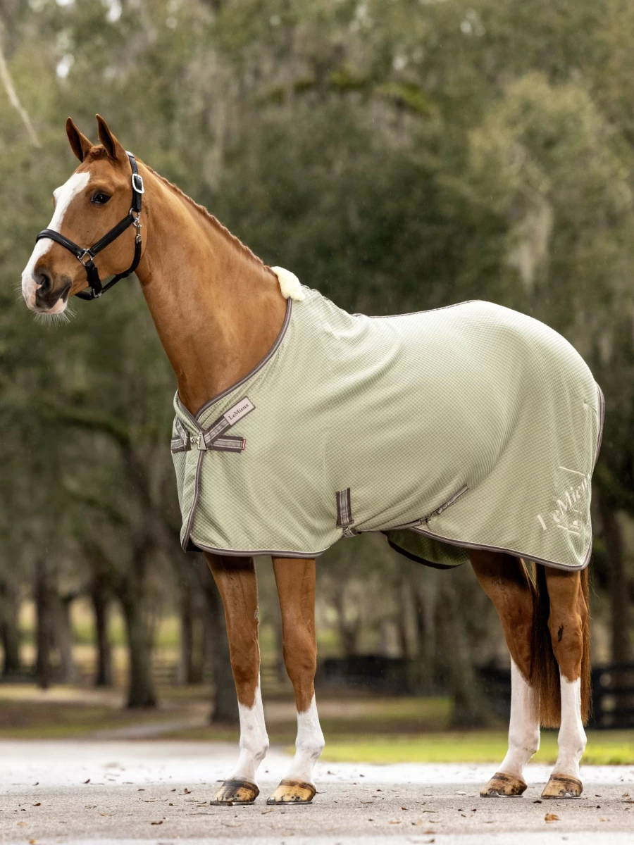LeMieux Bamboo Cooling Horse Rug – Breathable Summer Sheet for Horses