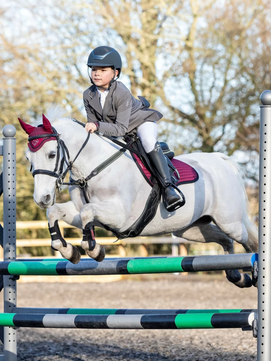 LeMieux Junior Pro Fly Hood Burgundy Small – Breathable Horse Riding Fly Mask for Young Horses