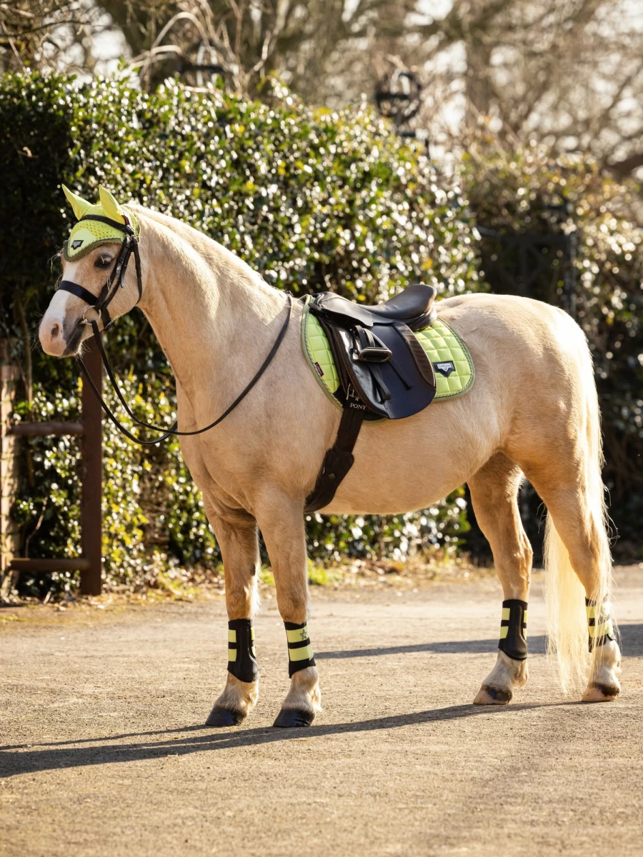 LeMieux Junior Loire Fly Hood for Horses in Kiwi Green – Breathable & Lightweight Equestrian Fly Protection