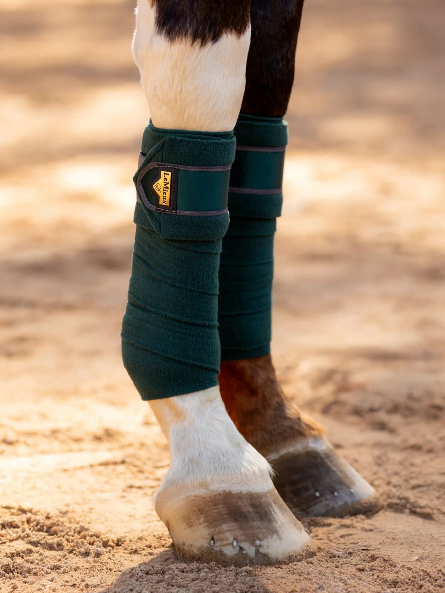LeMieux Loire Polo Bandages for Horses - Spruce Green Equine Leg Wraps