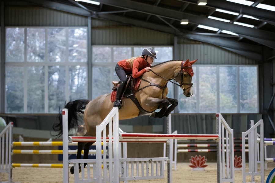 LeMieux Loire Classic Close Contact Sienna Square Saddle