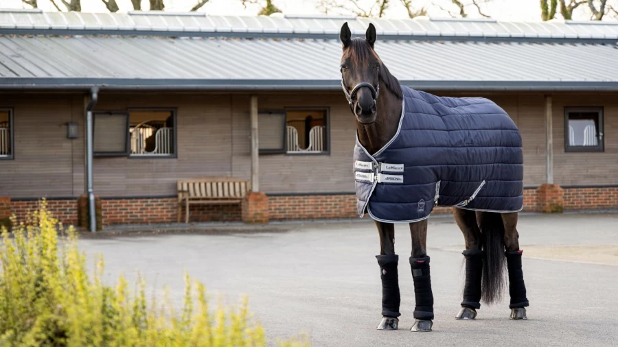 LeMieux Arika Stable-Tek 200G Breathable Navy Horse Rug
