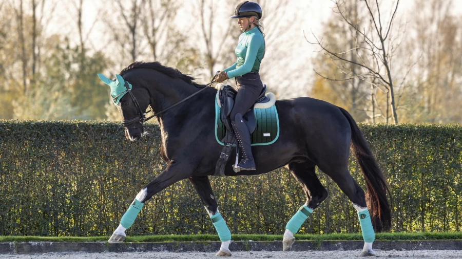 LeMieux Azure Square Dressage Saddle Pad – Premium Equestrian Spectra Collection