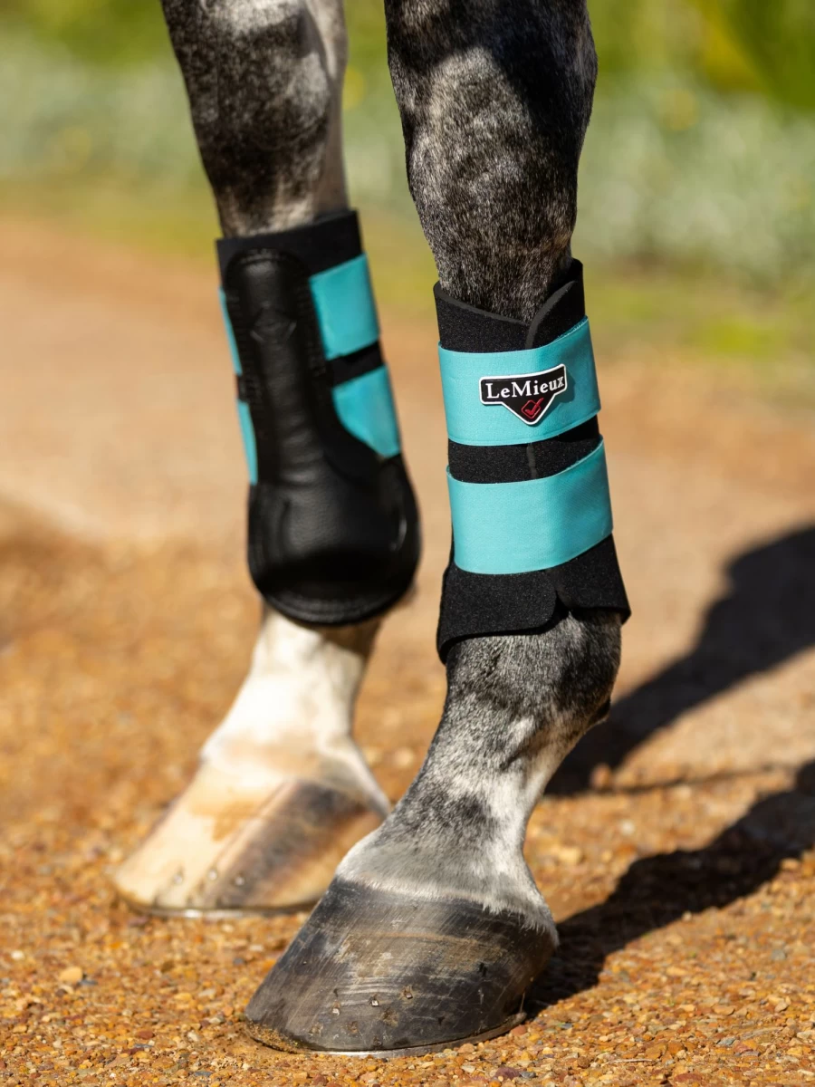 LeMieux Grafter Brushing Boot Azure - Horse Boots for Protection & Comfort