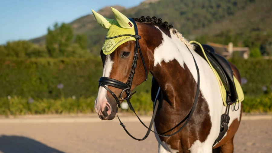 LeMieux Classic Fly Hood Kiwi - Equine Fly Protection Horse Hood