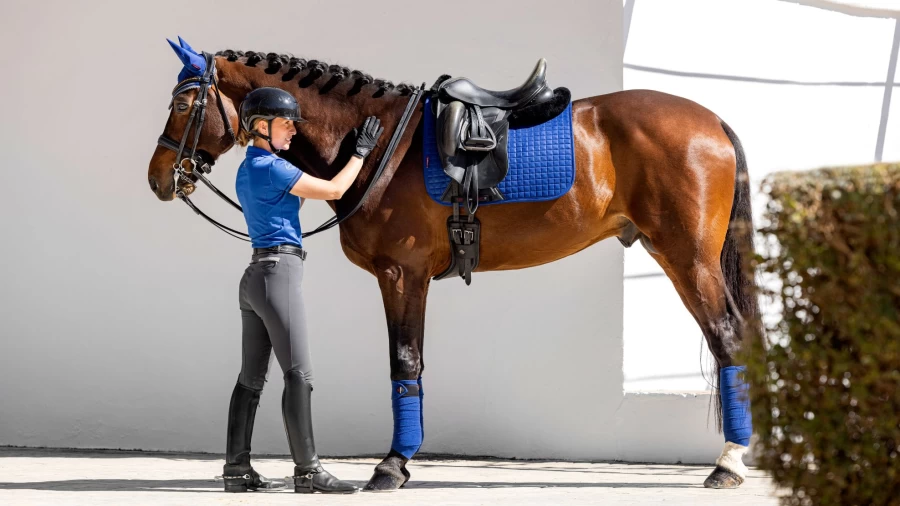 LeMieux Classic Blue Polo Bandages for Horses