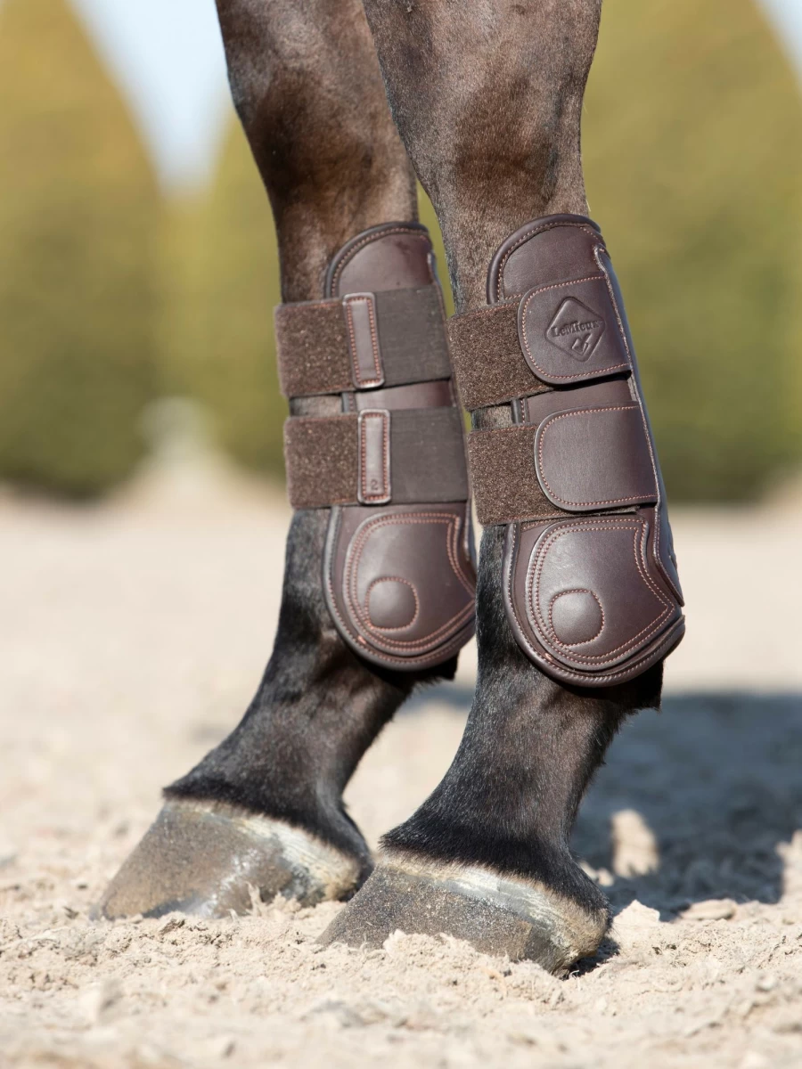LeMieux Capella Brown Tendon Boots for Horse Riding – Premium Support & Comfort