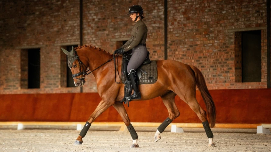 LeMieux Adour Dressage Square Oak Equestrian Saddle Pad