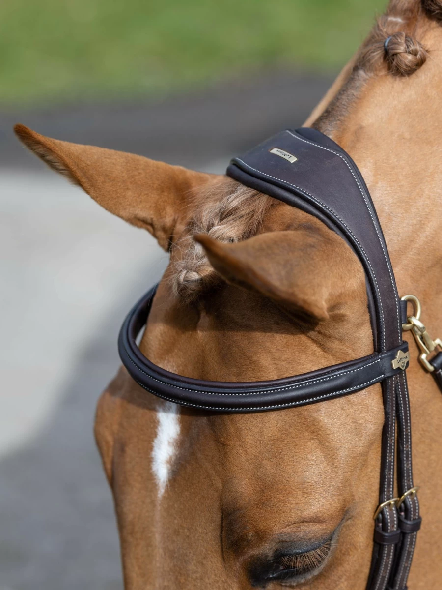LeMieux Kudos Work Bridle Brown Leather Horse Bridle – Premium Equestrian Equipment