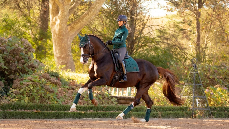 LeMieux Loire Classic Dressage Square Spruce Equestrian Riding Apparel