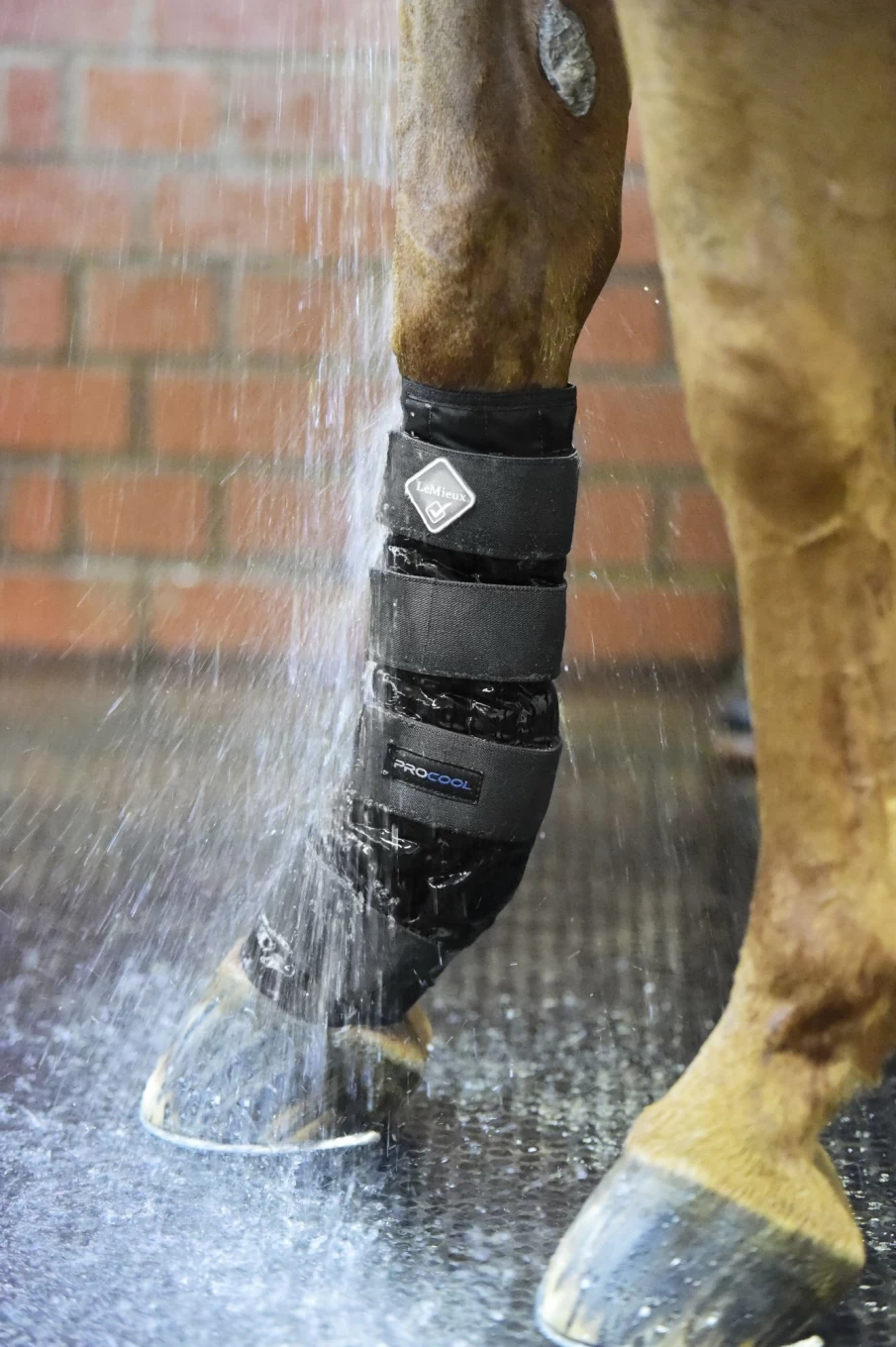 LeMieux Cold Water Fishing Boots – Durable & Waterproof for Outdoor Adventures