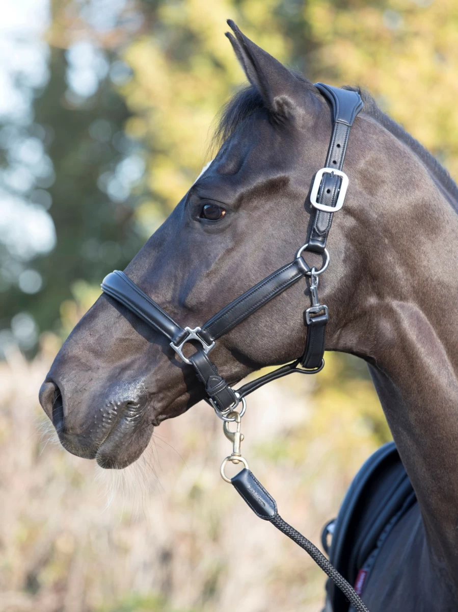 LeMieux Anatomic Headcollar for Horses - Comfortable & Adjustable Black Equestrian Headcollar
