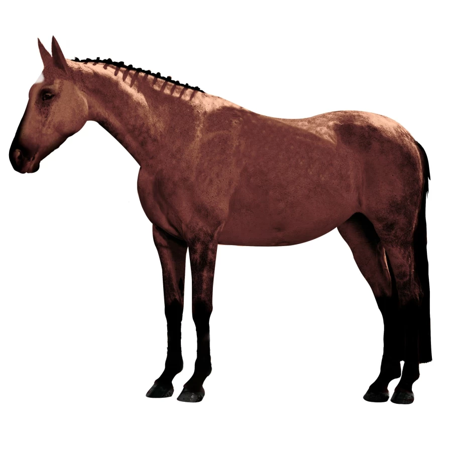 LeMieux Grey Horse Tail Bandage - One Size Fits All, Breathable & Secure Wrap for Equine Care