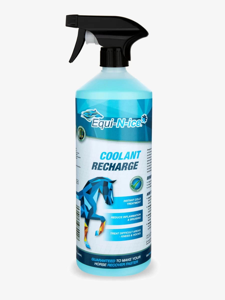 LeMieux Equi-N-Ice Liquid Horse Cooling Gel for Muscle Recovery & Pain Relief