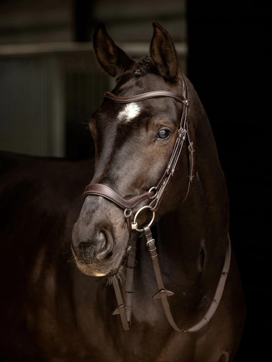 LeMieux Arika Drop Bridle in Brown and Silver for Dressage and Show Jumping