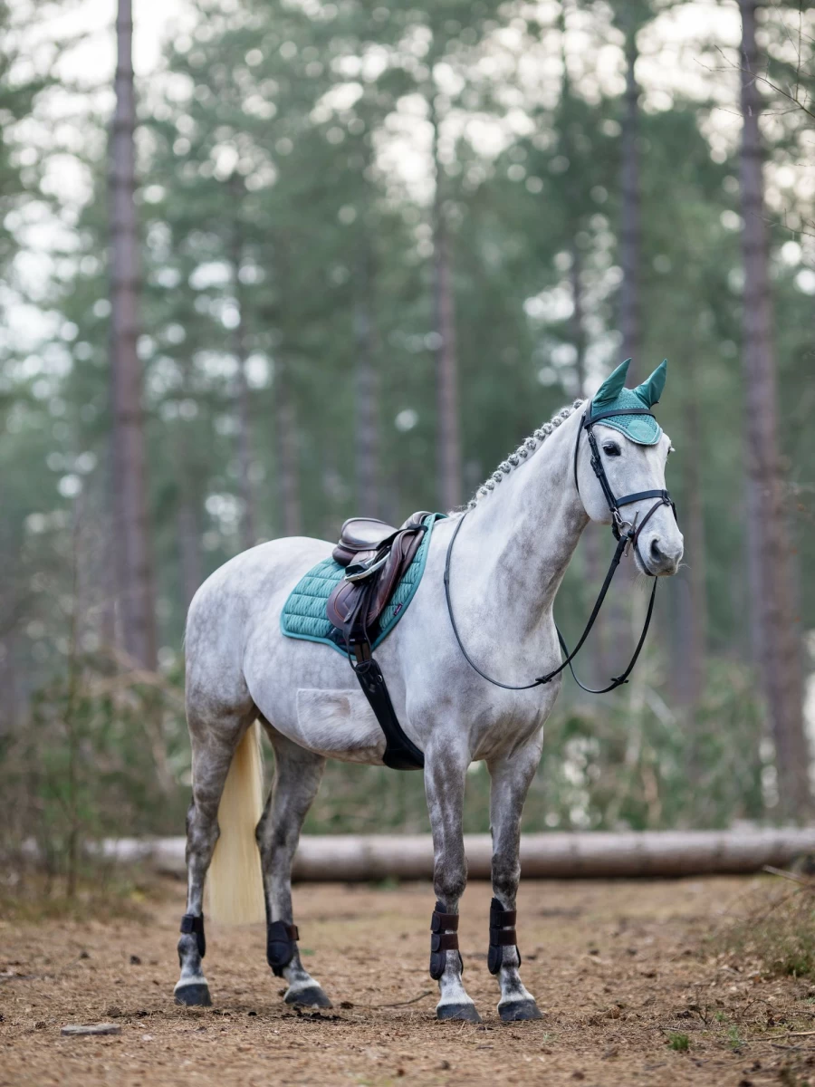 LeMieux Classic Fly Hood with Peacock Design – Equestrian Horse Fly Protection