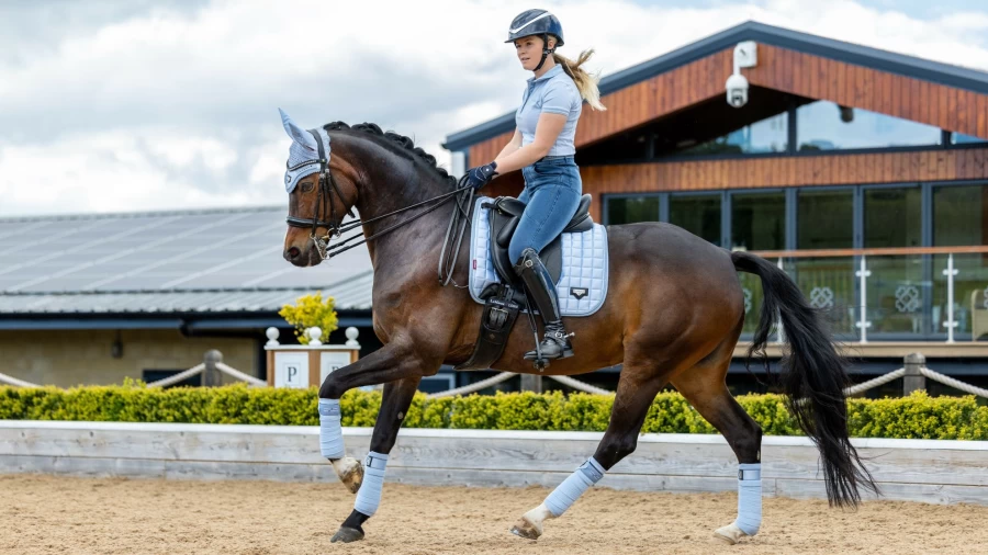 LeMieux Loire Polo Bandage Set - Breathable Horse Leg Wraps for Support & Protection