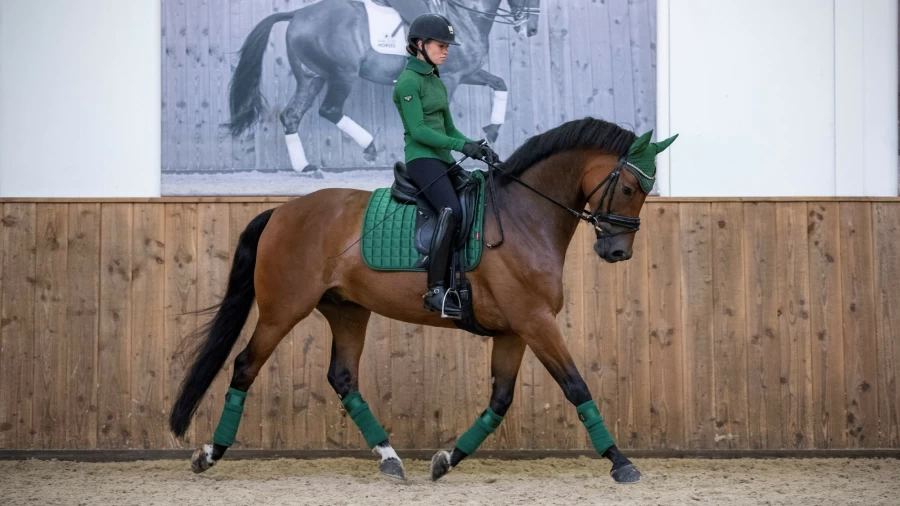 LeMieux Loire Classic Dressage Square in Hunter Green – Premium Equestrian Show Apparel