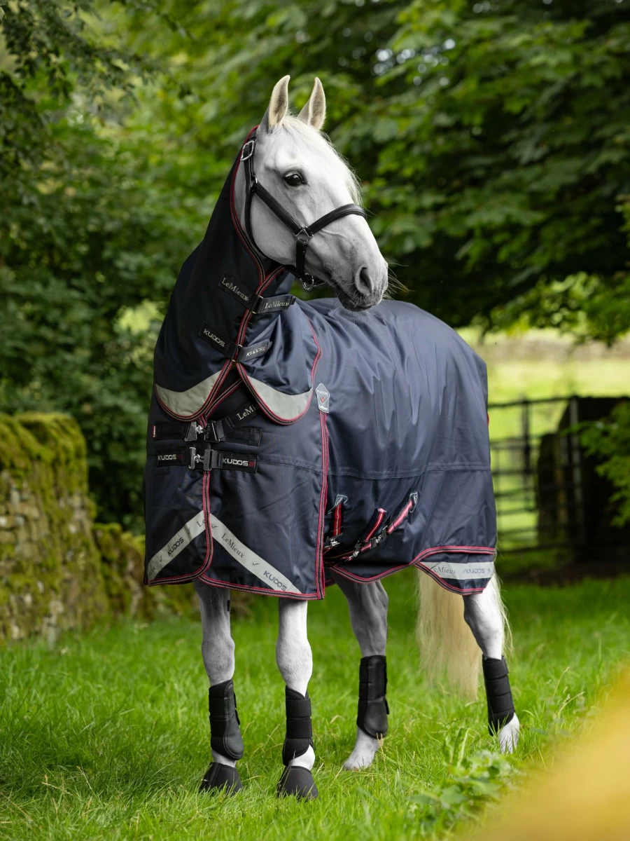 LeMieux Kudos Turnout Rug & Liner Set - Waterproof Horse Blanket with Detachable Liner